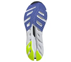 Adistar BYD
