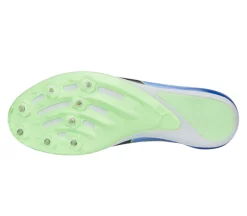 EvoSPEED Sprint 14