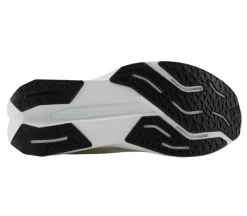 FuelCell Propel V5